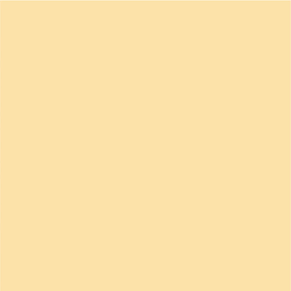 Siser EasyPSV Permanent Adhesive Sticker Vinyl - 12" x 5 Yards