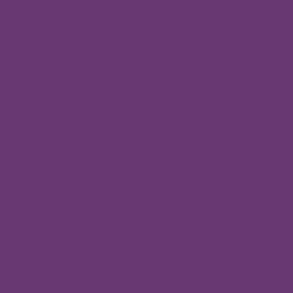 Siser EasyPSV Permanent Adhesive Sticker Vinyl - 12" x 5 Yards