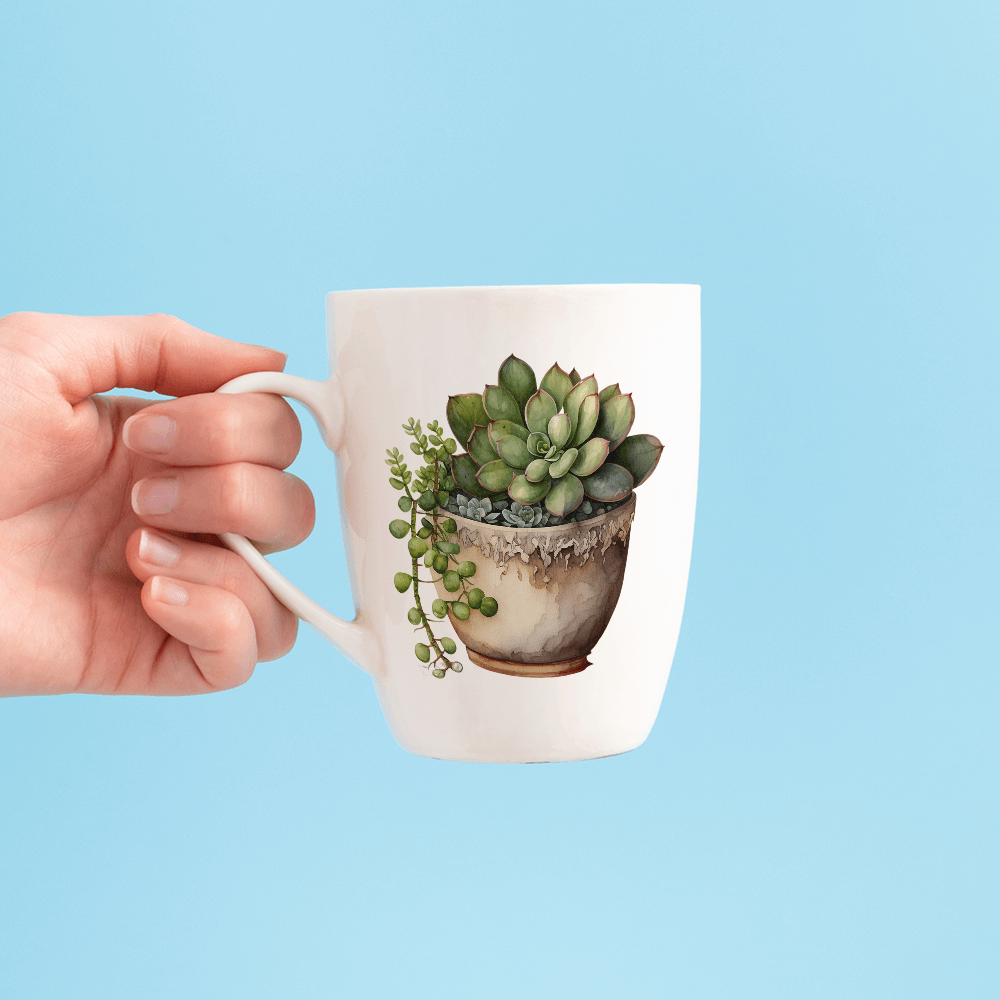 Succulents Growing Design - HeatPressNation