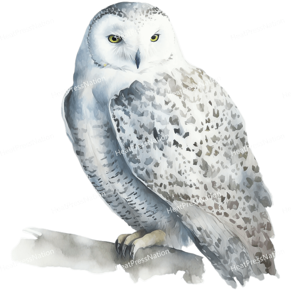 White Owl Side Design - HeatPressNation