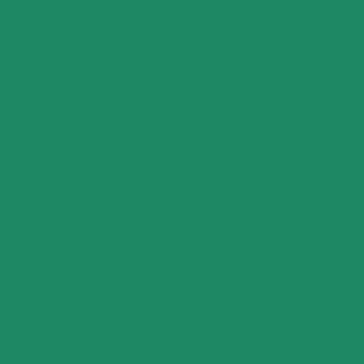 Chemica Hotmark Revolution Heat Transfer Vinyl - 50 cm x 5 m - Teal