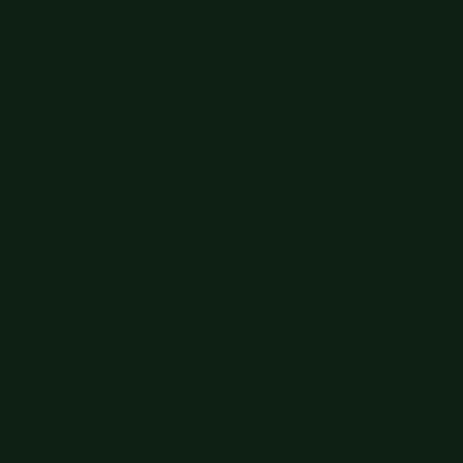Chemica Hotmark Revolution Heat Transfer Vinyl - 30 cm x 20 m - Dark Green