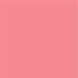 Siser EasyPSV Permanent Adhesive Sticker Vinyl - 12" x 5 Yards