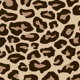 Siser EASYPATTERNS Heat Transfer Vinyl - 12" x 5 Yards
