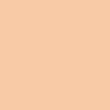 Chemica Hotmark Revolution Heat Transfer Vinyl - 50 cm x 5 m - Pastel Orange