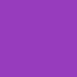 Siser EASYWEED ECOSTRETCH Heat Transfer Vinyl - 12" x 1 Foot - HeatPressNation