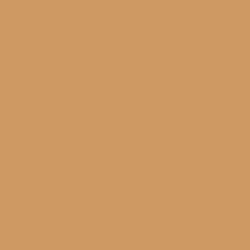 Chemica Hotmark Heat Transfer Vinyl - 50 cm x 5 m - Beige