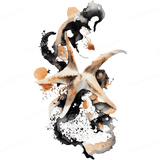 Starfish Design - HeatPressNation