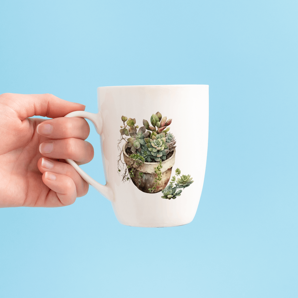 Succulent Assortment Design - HeatPressNation