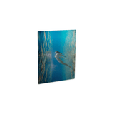 ChromaLuxe 4" x 6" Clear Gloss Sublimation Aluminum Photo Panel - HeatPressNation